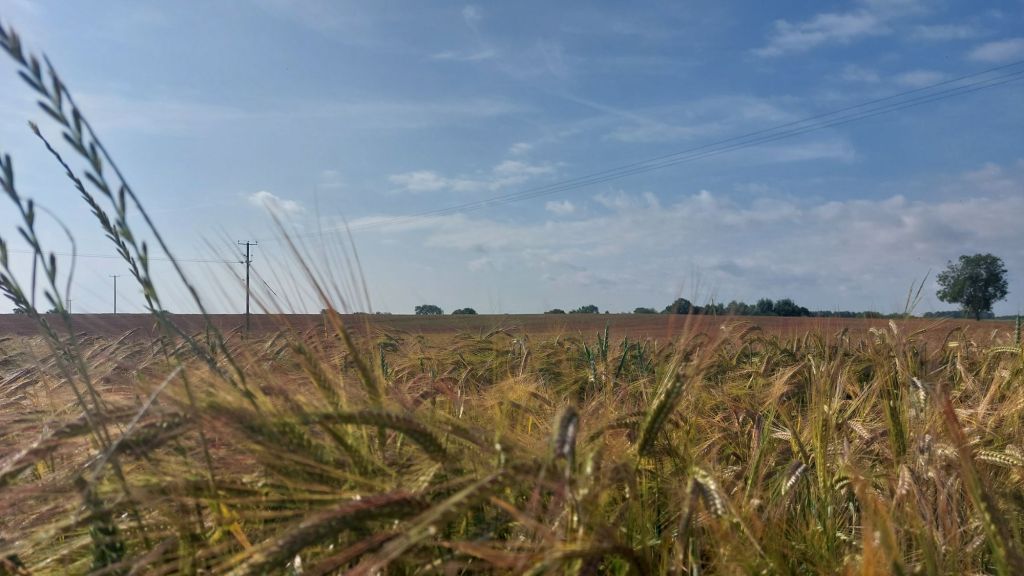 20250613_0846204439131256111899982