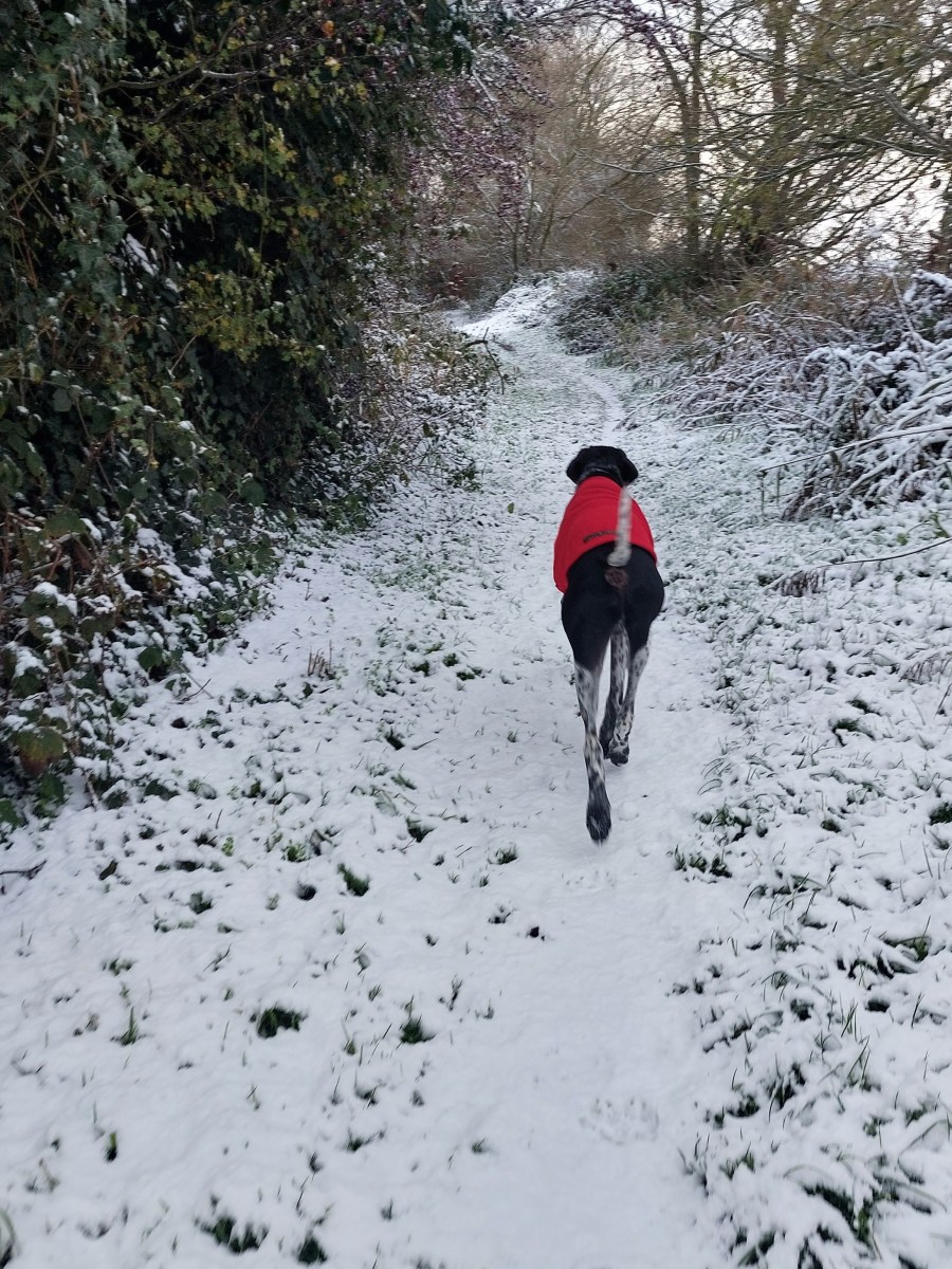 Embrace Gentle Movement: Surviving January&nbsp;Blues